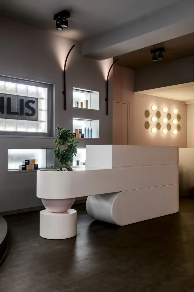 MONLIS Studio