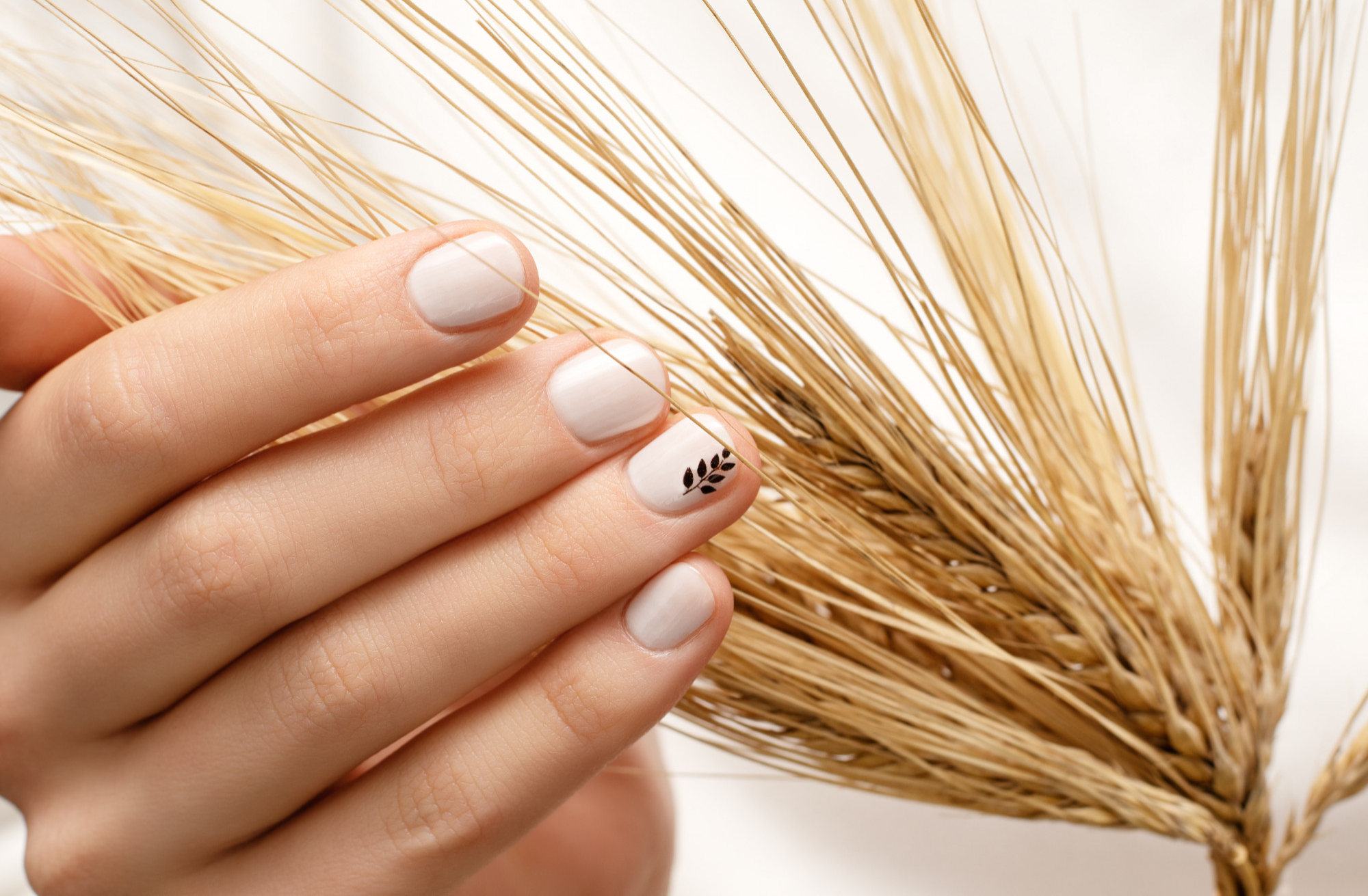 Почему форма ногтей важнее цвета — архитектура маникюра